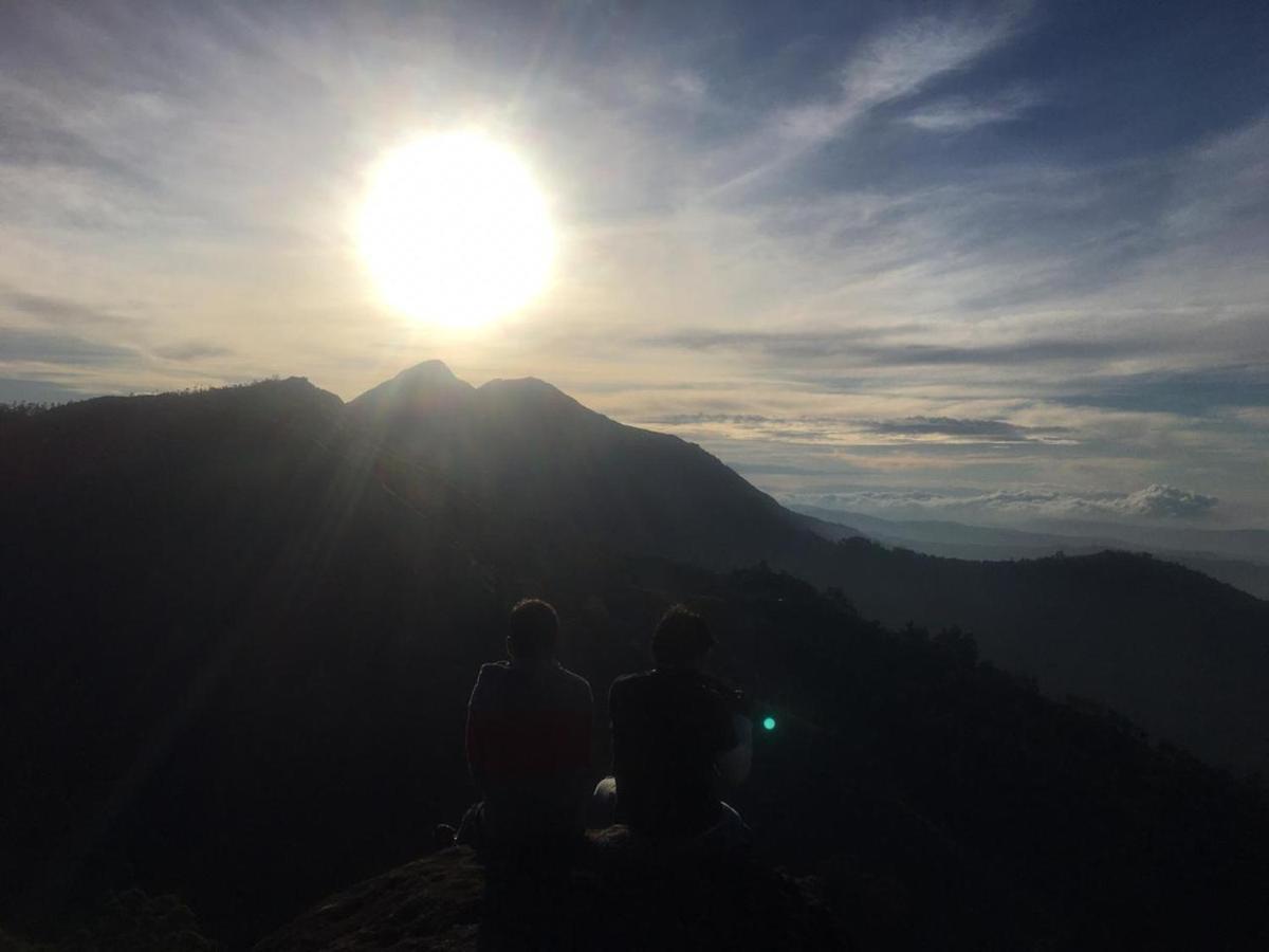 Anaviratty Greenpepperhomestay Munnar المظهر الخارجي الصورة