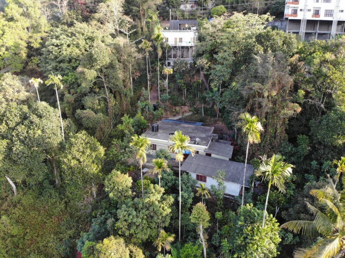 Anaviratty Greenpepperhomestay Munnar المظهر الخارجي الصورة