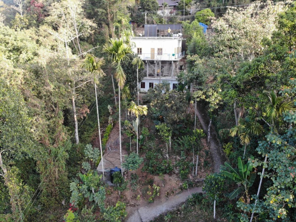 Anaviratty Greenpepperhomestay Munnar المظهر الخارجي الصورة